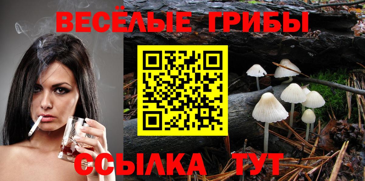 Галлюциногенные грибы MAGIC MUSHROOMS Северск